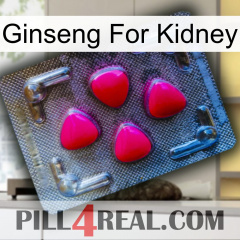 Ginseng For Kidney 13